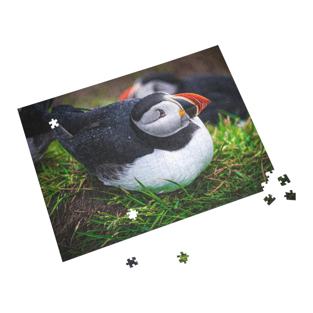 Resting Puffin - Nature Puzzle (96, 252, 500, 1000-Piece) - Visiting This World