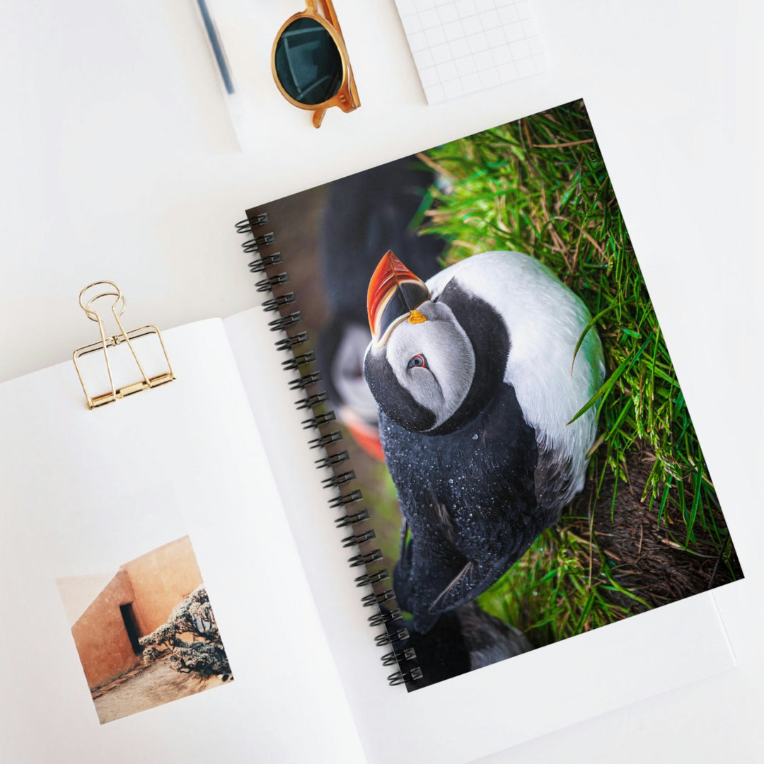 Resting Puffin - Spiral Ruled Line Notebook - Visiting This World