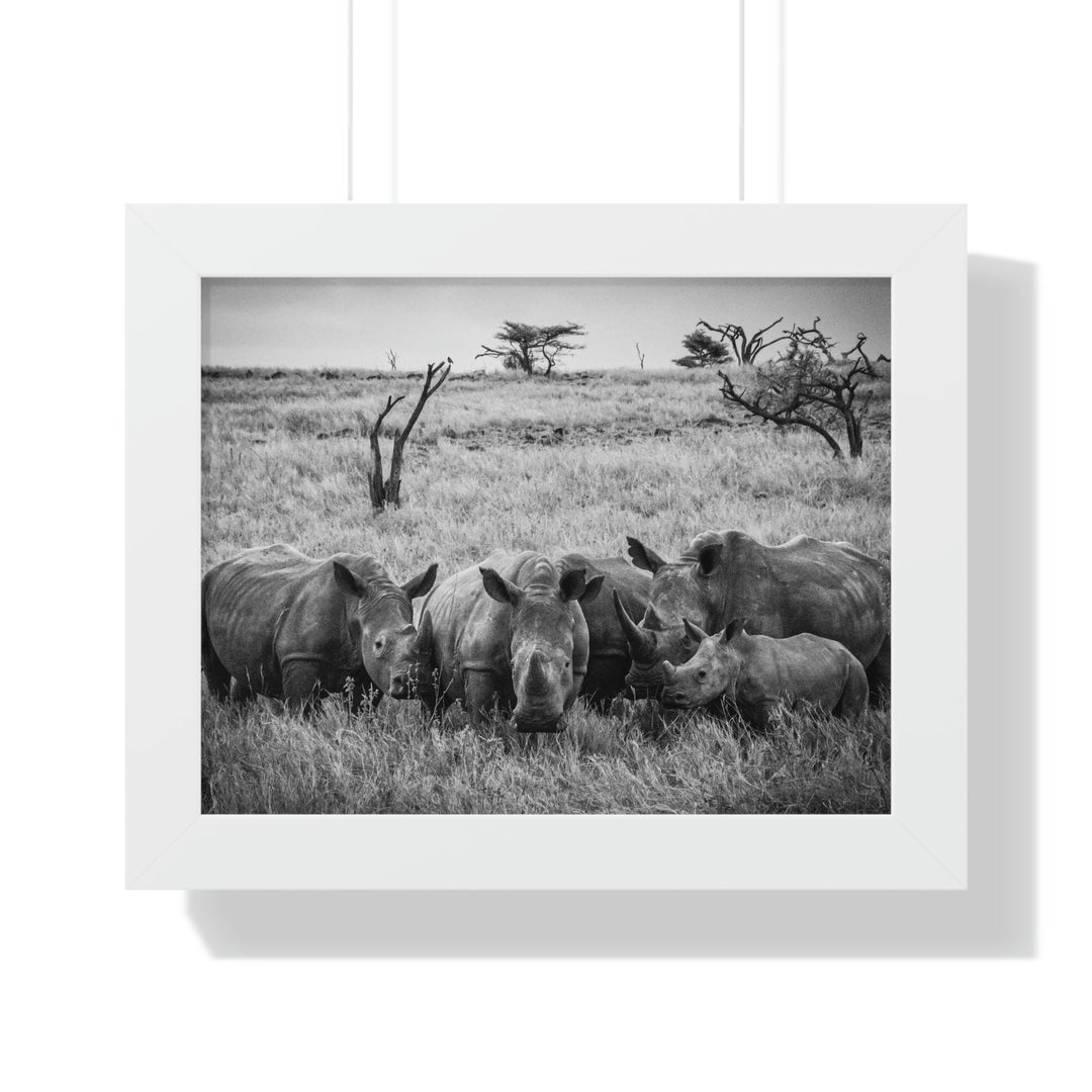 Rhino Family in Black and White - Framed Print - Visiting This World