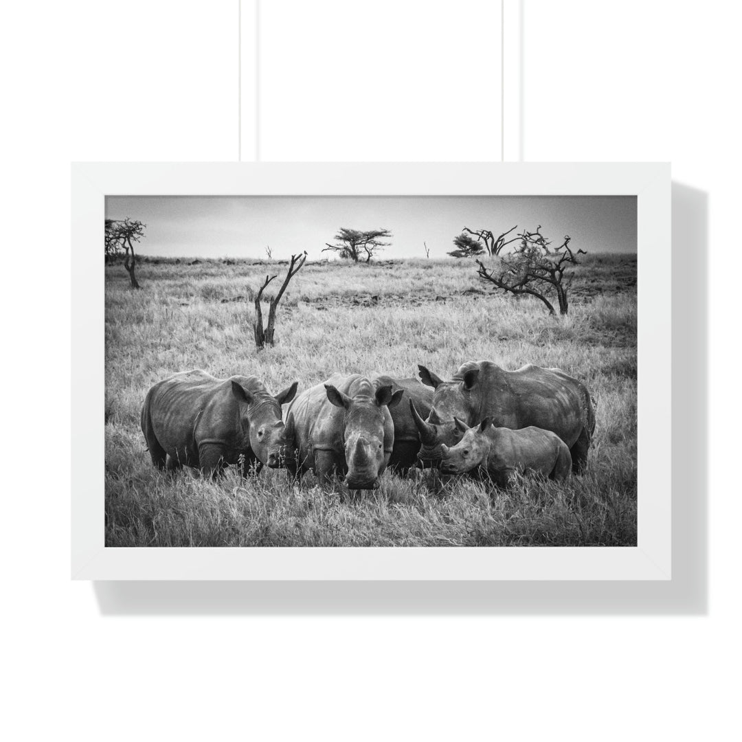 Rhino Family in Black and White - Framed Print - Visiting This World