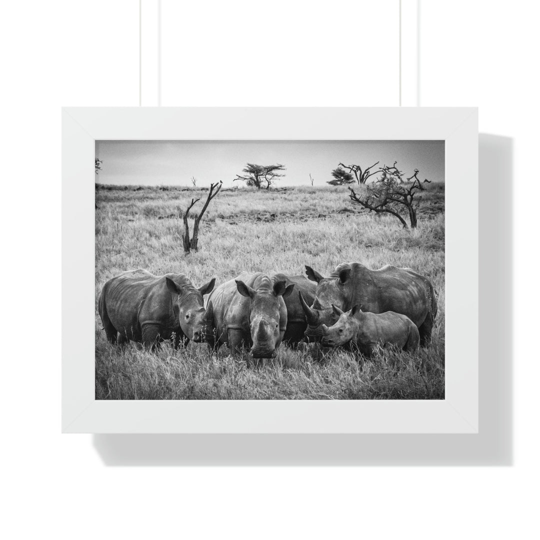 Rhino Family in Black and White - Framed Print - Visiting This World