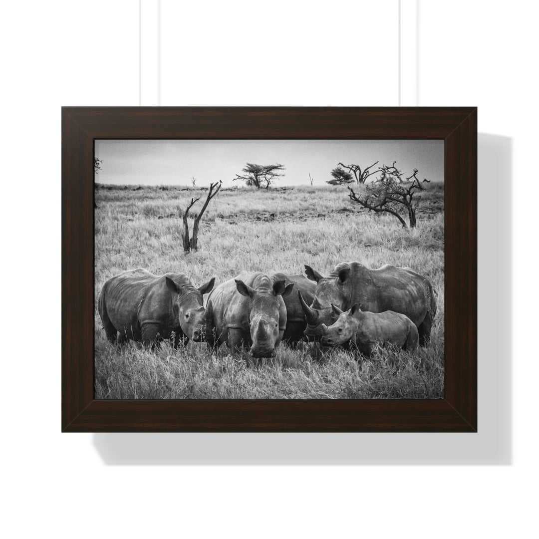 Rhino Family in Black and White - Framed Print - Visiting This World