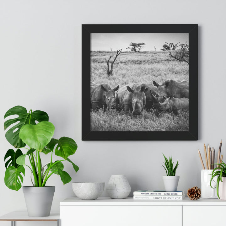 Rhino Family in Black and White - Framed Print - Visiting This World