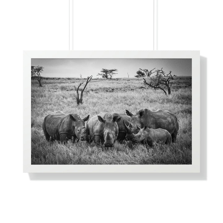 Rhino Family in Black and White - Framed Print - Visiting This World