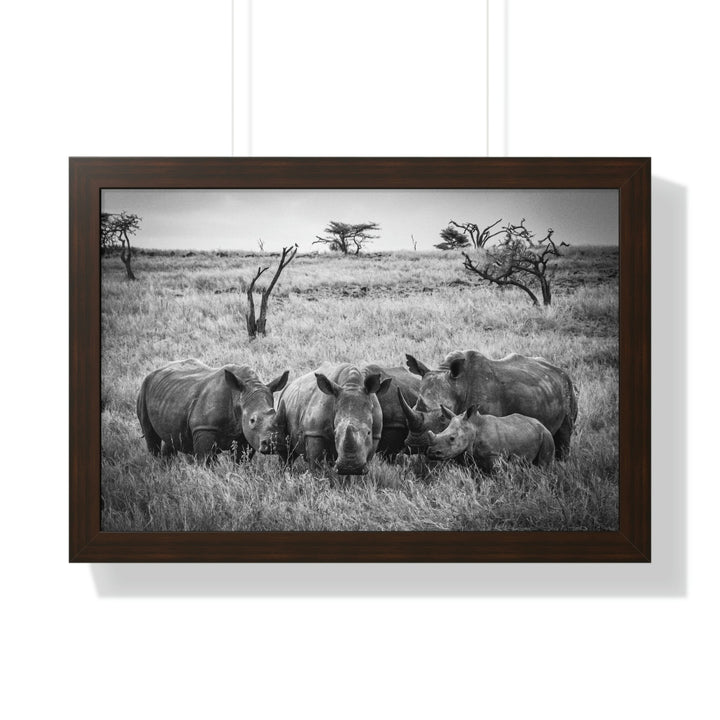 Rhino Family in Black and White - Framed Print - Visiting This World