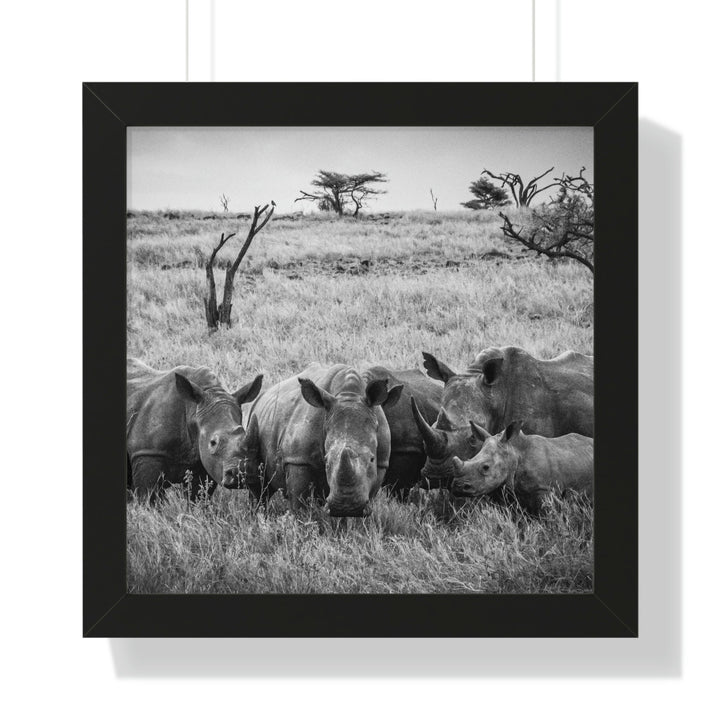 Rhino Family in Black and White - Framed Print - Visiting This World