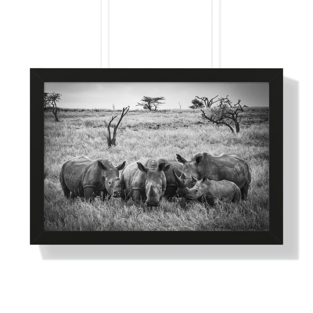 Rhino Family in Black and White - Framed Print - Visiting This World