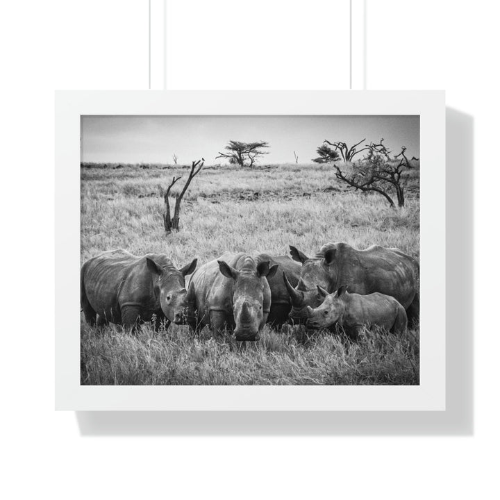 Rhino Family in Black and White - Framed Print - Visiting This World