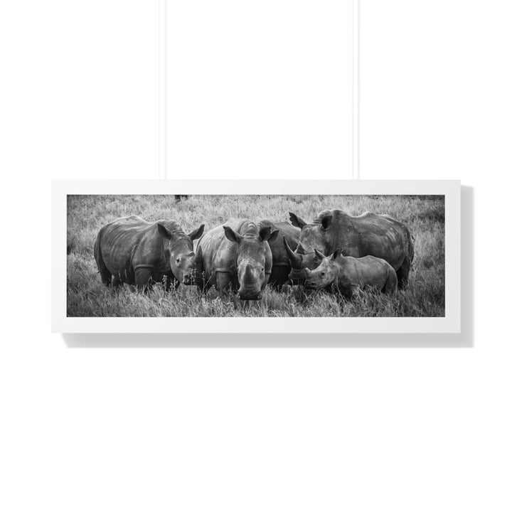 Rhino Family in Black and White - Framed Print - Visiting This World