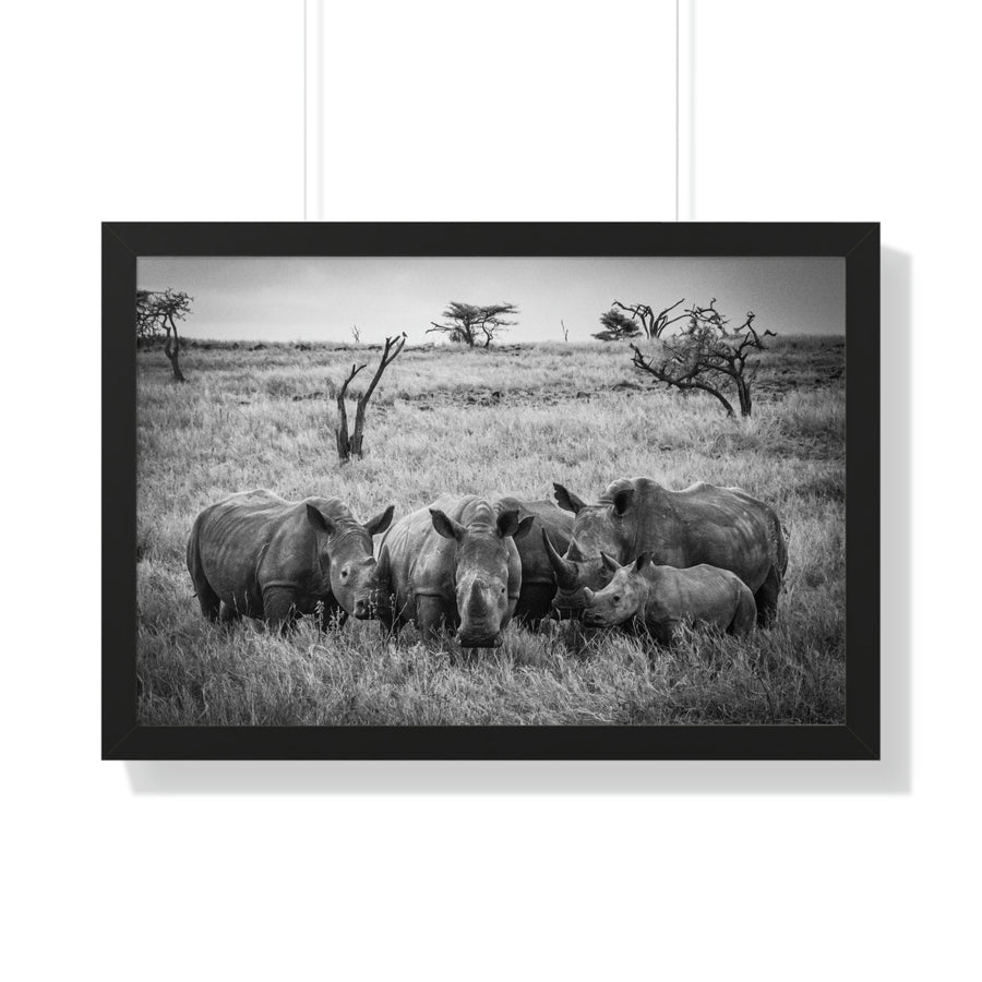 Rhino Family in Black and White - Framed Print - Visiting This World