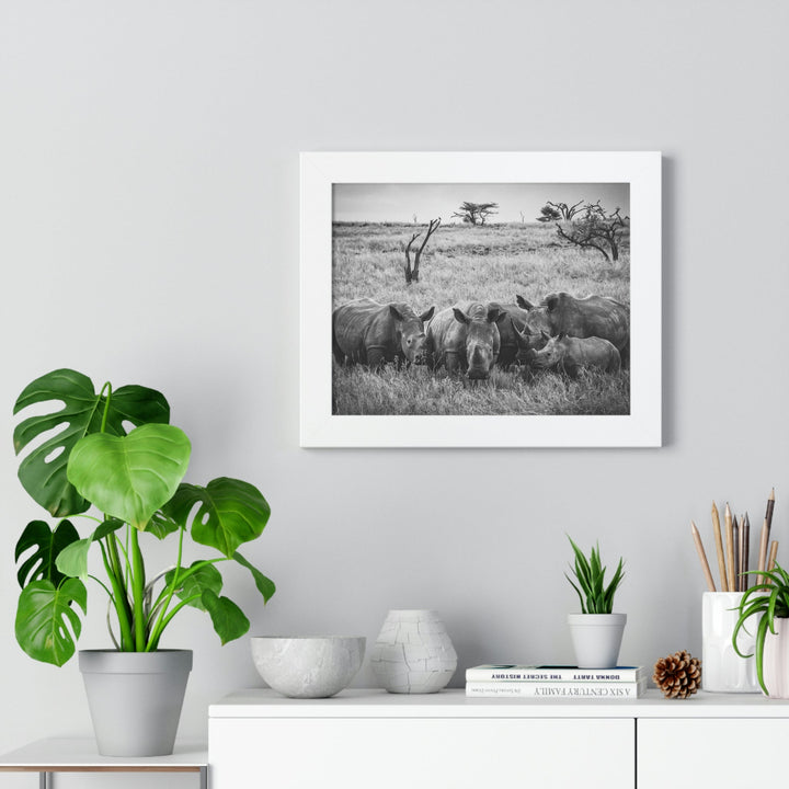 Rhino Family in Black and White - Framed Print - Visiting This World