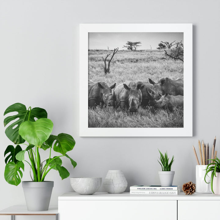 Rhino Family in Black and White - Framed Print - Visiting This World