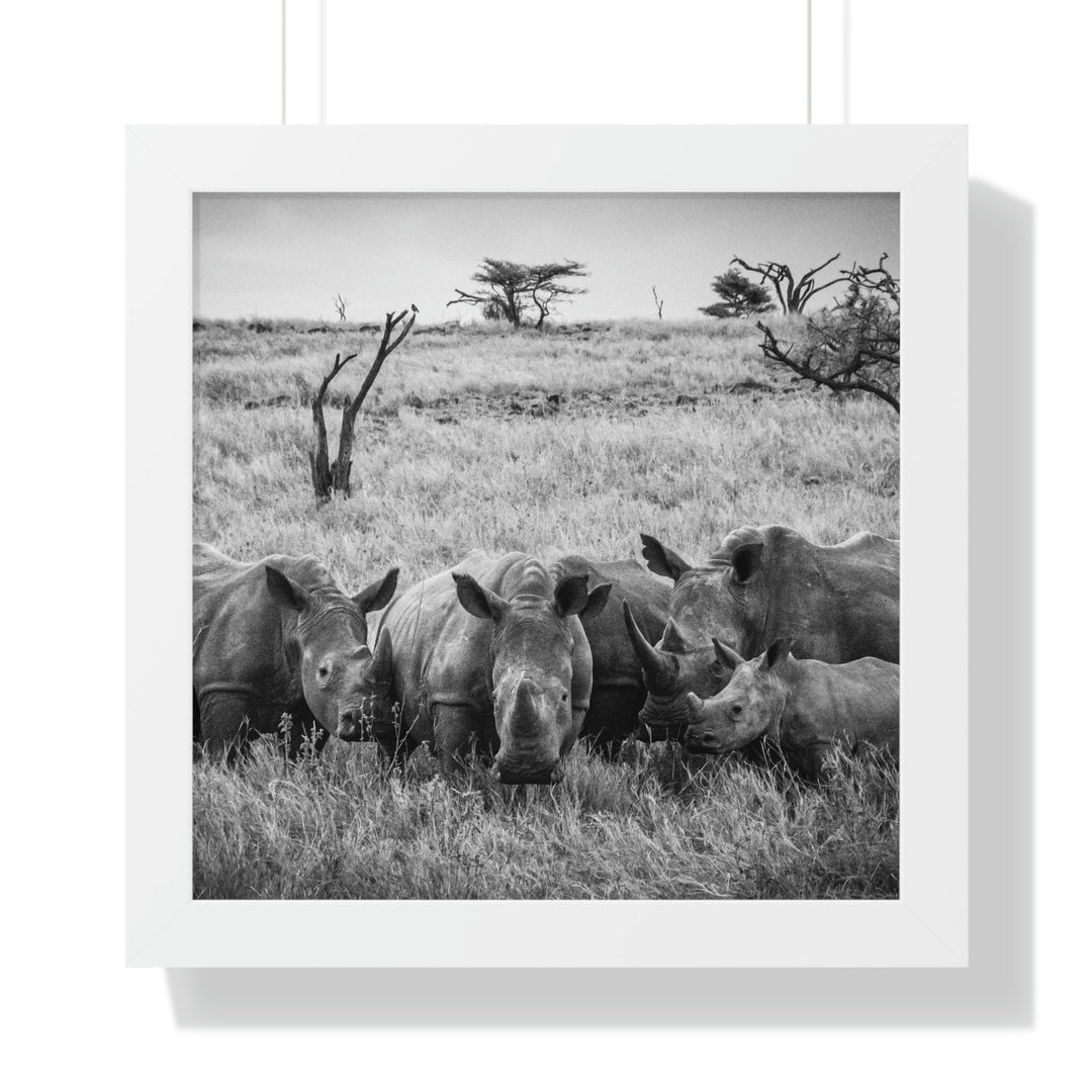 Rhino Family in Black and White - Framed Print - Visiting This World