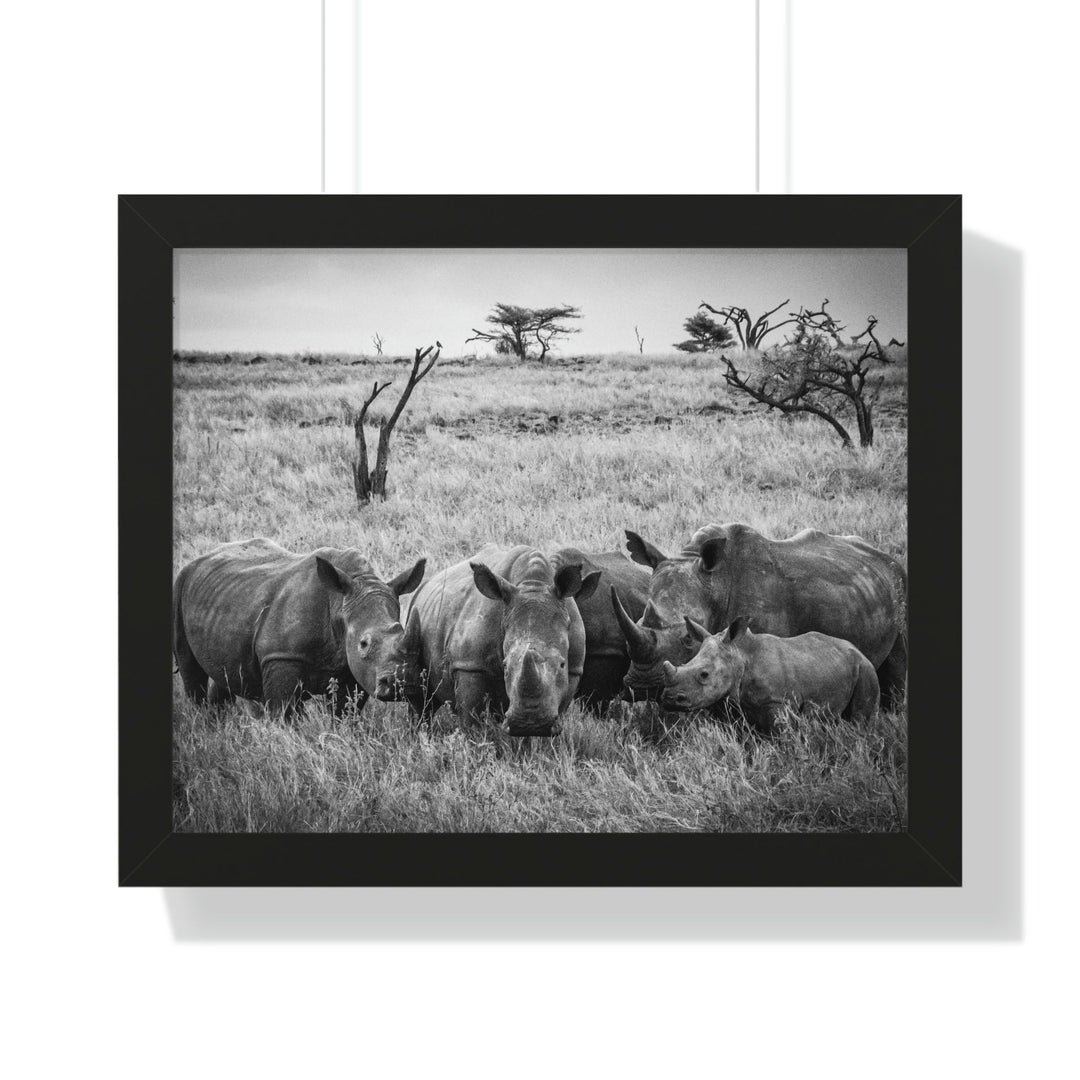 Rhino Family in Black and White - Framed Print - Visiting This World