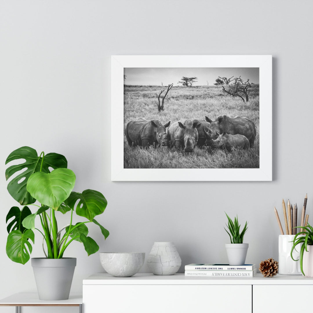 Rhino Family in Black and White - Framed Print - Visiting This World