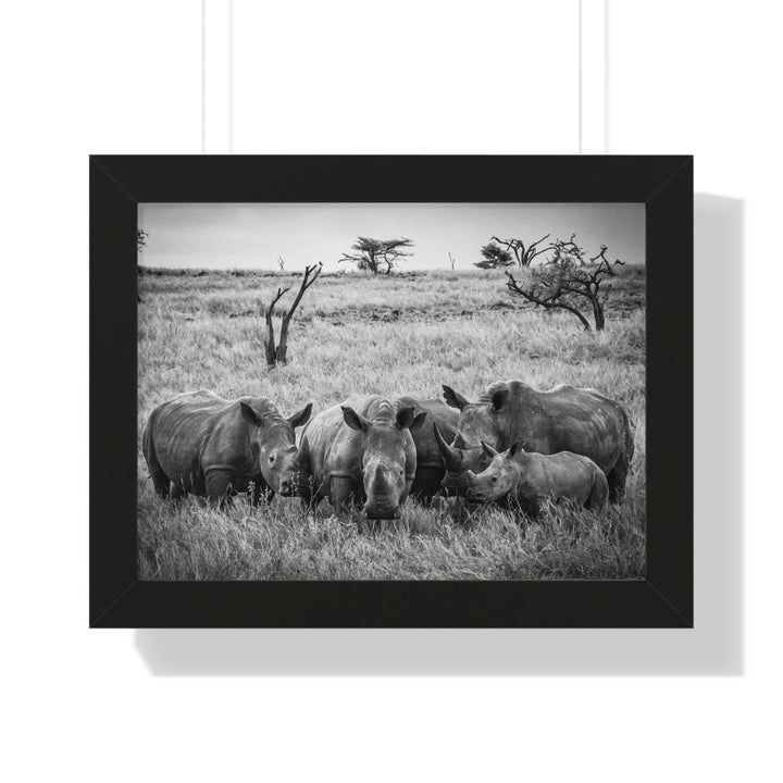 Rhino Family in Black and White - Framed Print - Visiting This World