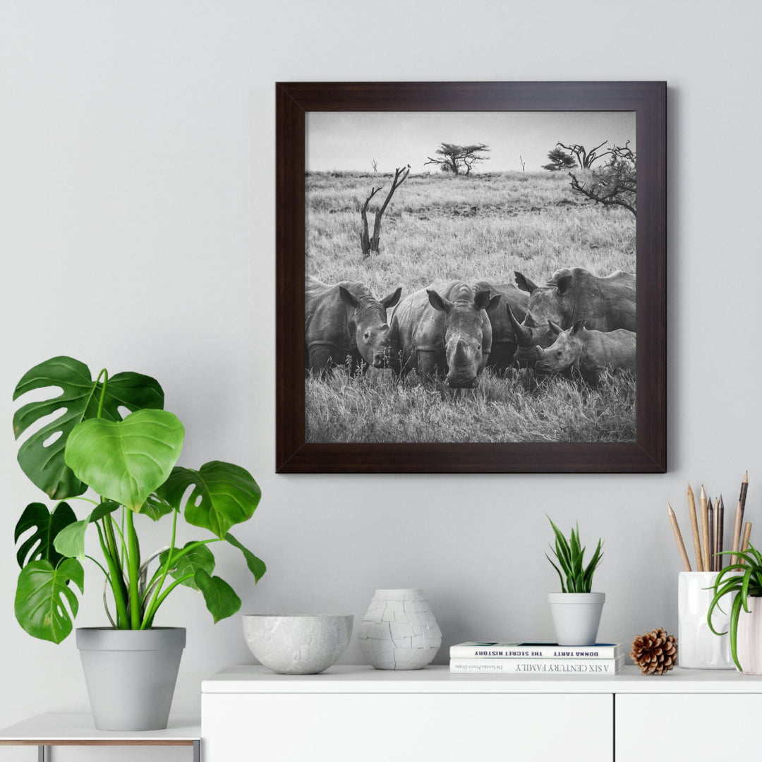 Rhino Family in Black and White - Framed Print - Visiting This World