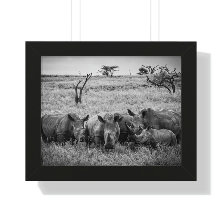 Rhino Family in Black and White - Framed Print - Visiting This World