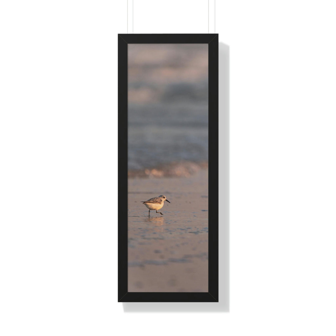 Sanderling in Soft Dusk Light - Framed Print - Visiting This World