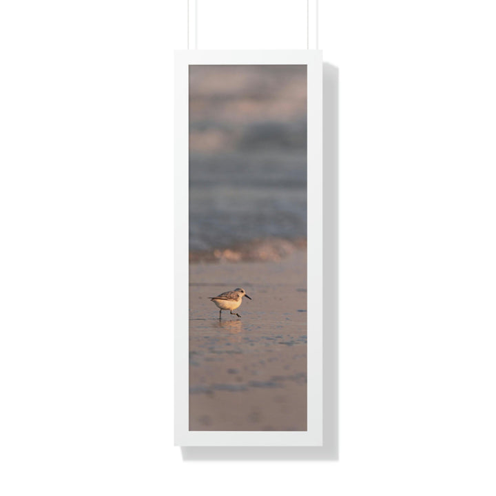 Sanderling in Soft Dusk Light - Framed Print - Visiting This World