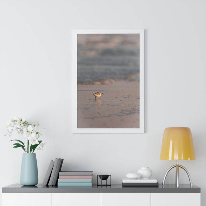 Sanderling in Soft Dusk Light - Framed Print - Visiting This World