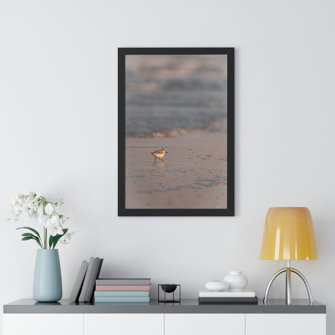 Sanderling in Soft Dusk Light - Framed Print - Visiting This World