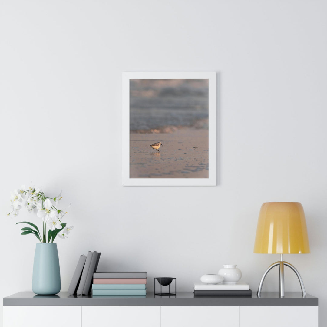 Sanderling in Soft Dusk Light - Framed Print - Visiting This World