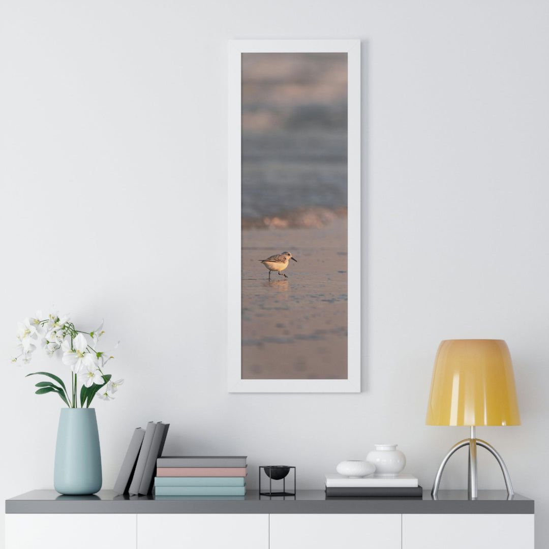 Sanderling in Soft Dusk Light - Framed Print - Visiting This World