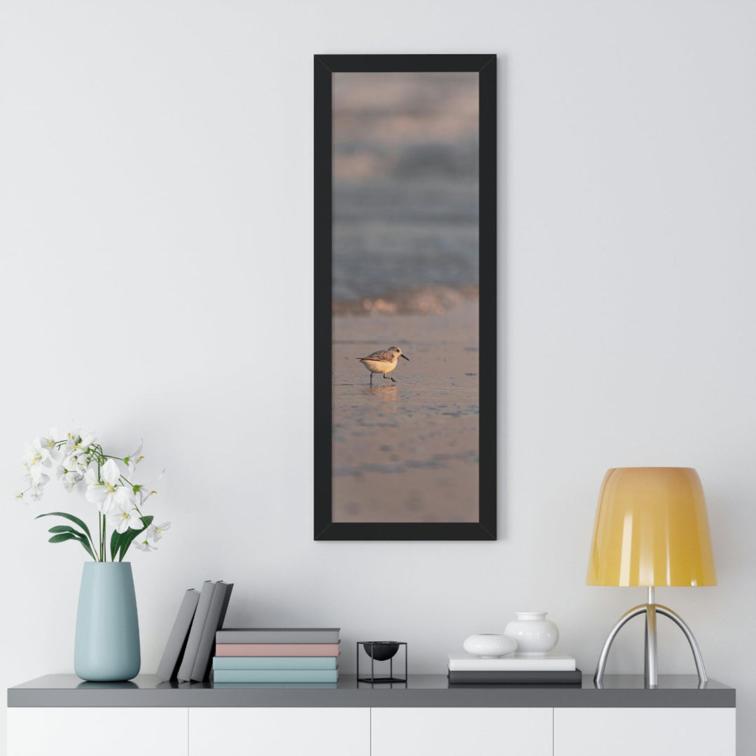 Sanderling in Soft Dusk Light - Framed Print - Visiting This World