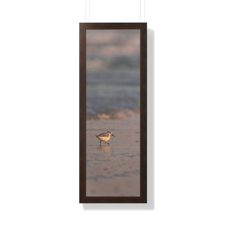 Sanderling in Soft Dusk Light - Framed Print - Visiting This World