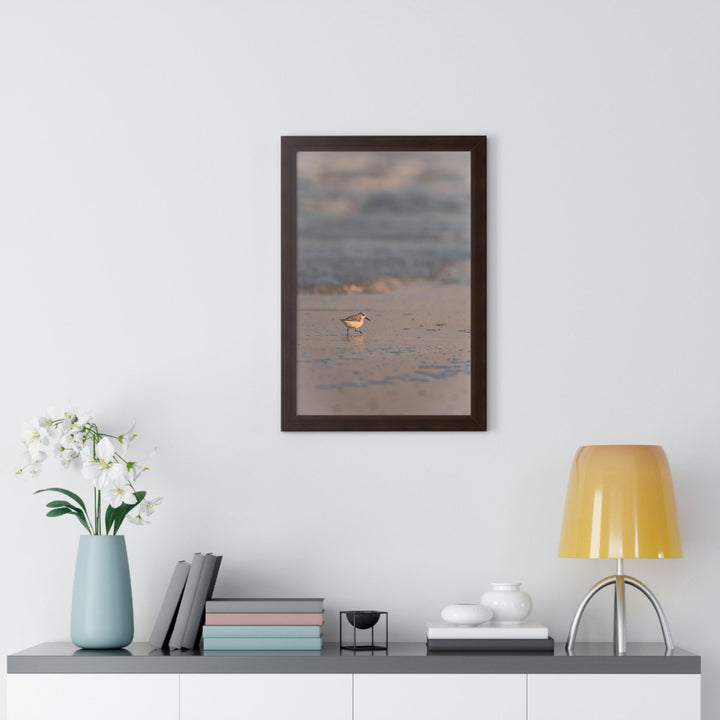 Sanderling in Soft Dusk Light - Framed Print - Visiting This World