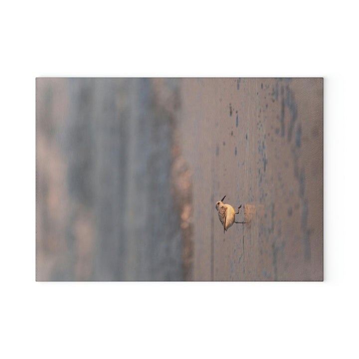 Sanderling in Soft Dusk Light - Glass Cutting Board - Visiting This World