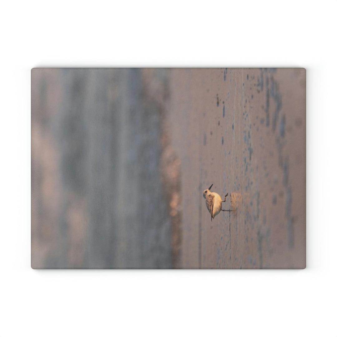 Sanderling in Soft Dusk Light - Glass Cutting Board - Visiting This World