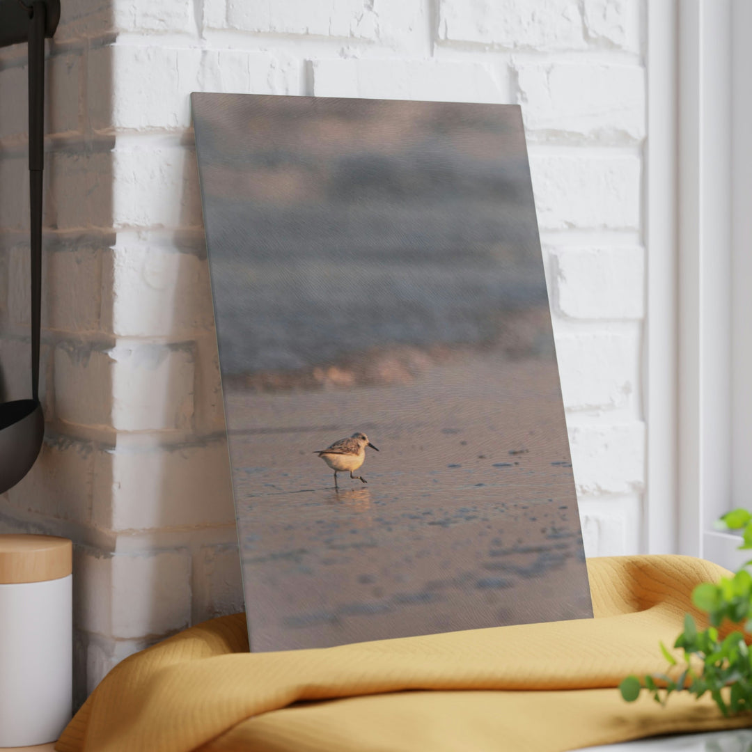 Sanderling in Soft Dusk Light - Glass Cutting Board - Visiting This World