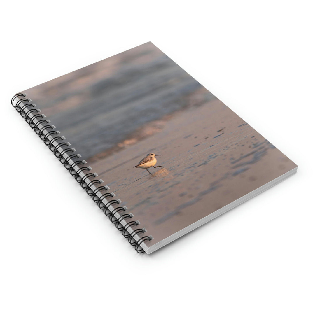 Sanderling in Soft Dusk Light - Spiral Ruled Line Notebook - Visiting This World