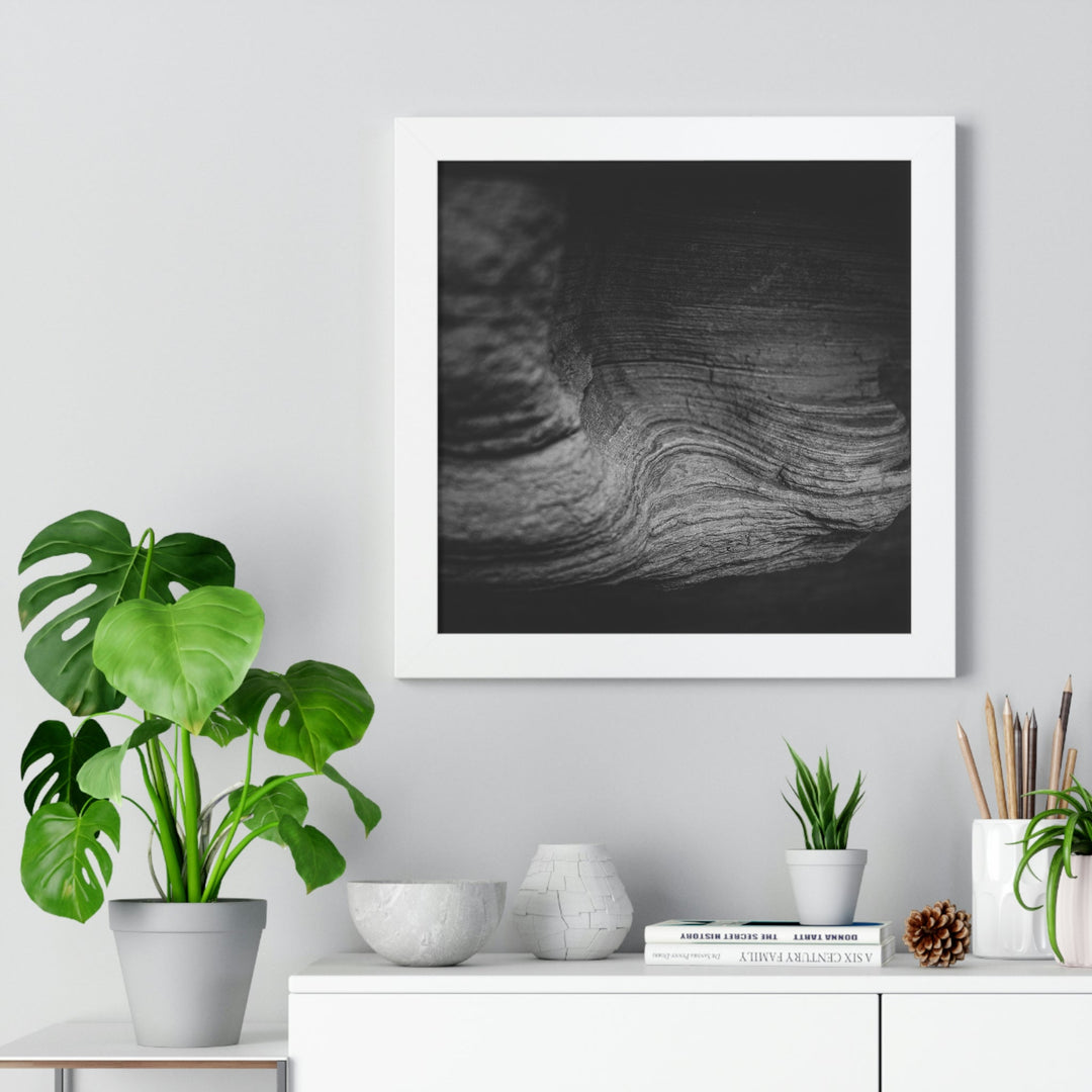 Sedimentary Rock Curves in Black and White - Framed Print - Visiting This World