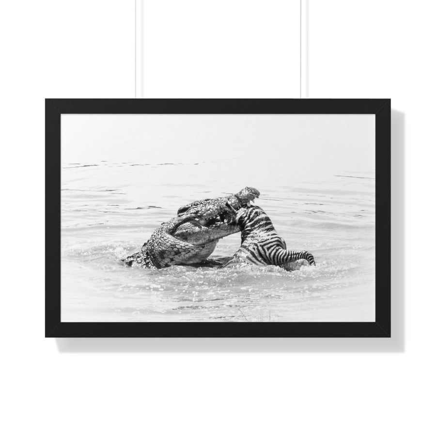 Snack Time - Framed Print - Visiting This World