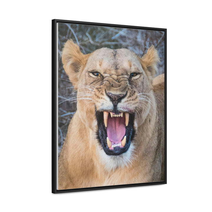 Snarled Smile - Canvas With Frame - Visiting This World