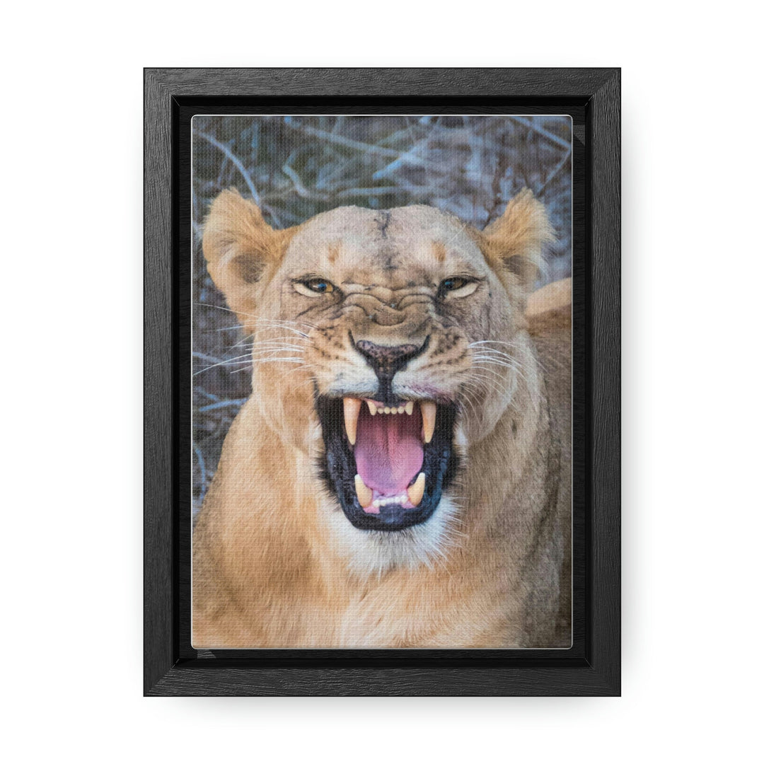 Snarled Smile - Canvas With Frame - Visiting This World