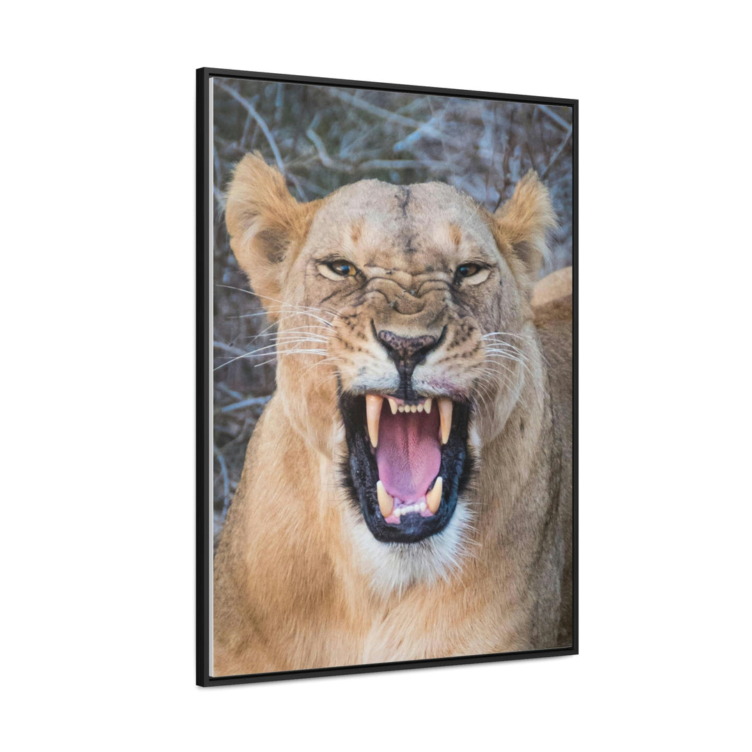 Snarled Smile - Canvas With Frame - Visiting This World