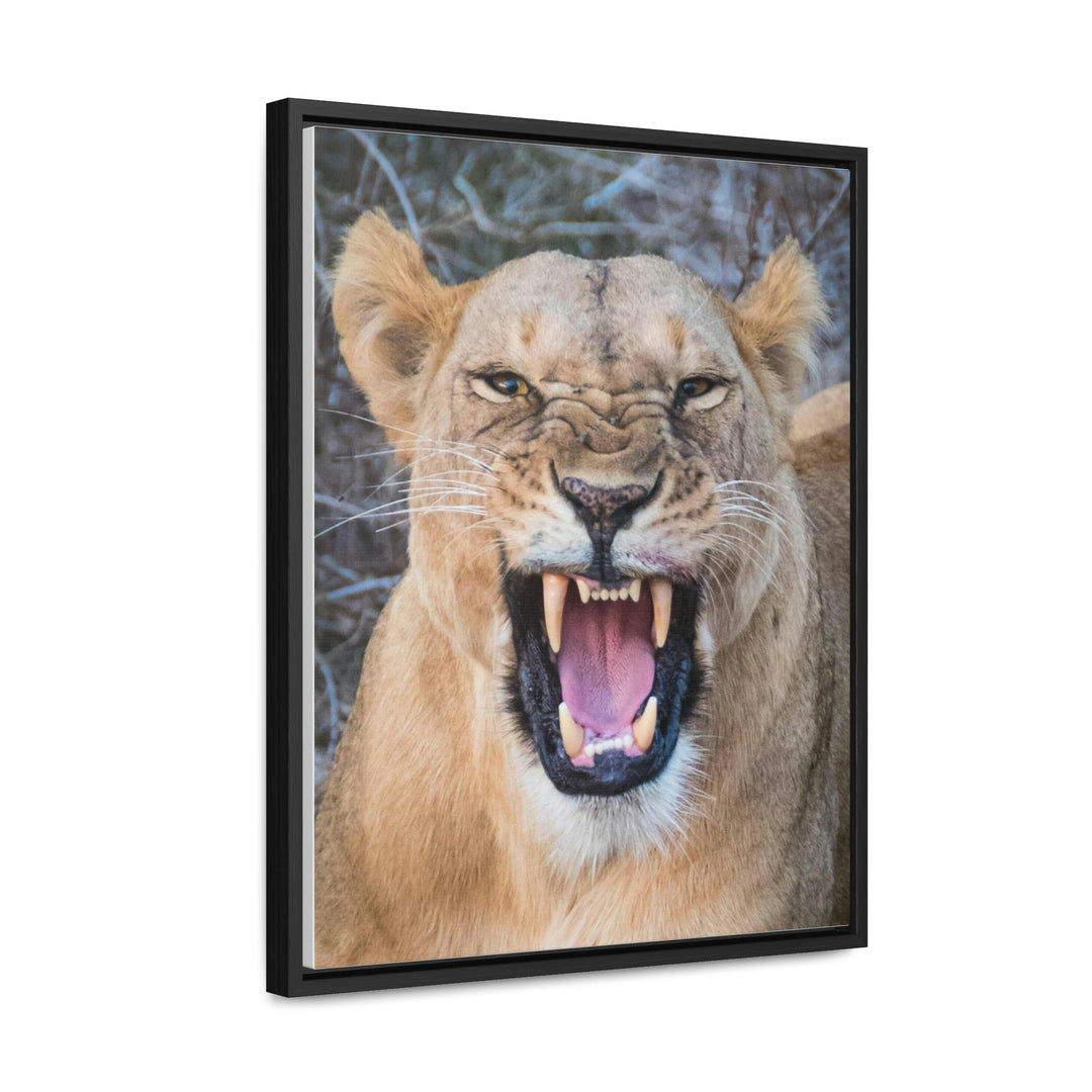 Snarled Smile - Canvas With Frame - Visiting This World