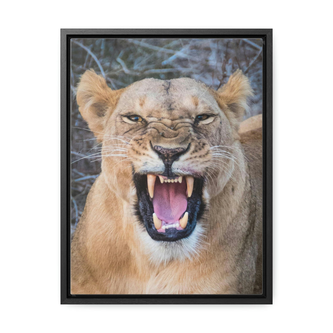 Snarled Smile - Canvas With Frame - Visiting This World