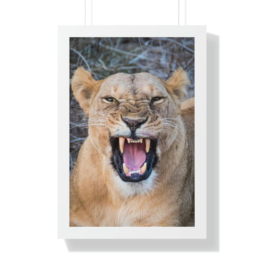 Snarled Smile - Framed Print - Visiting This World