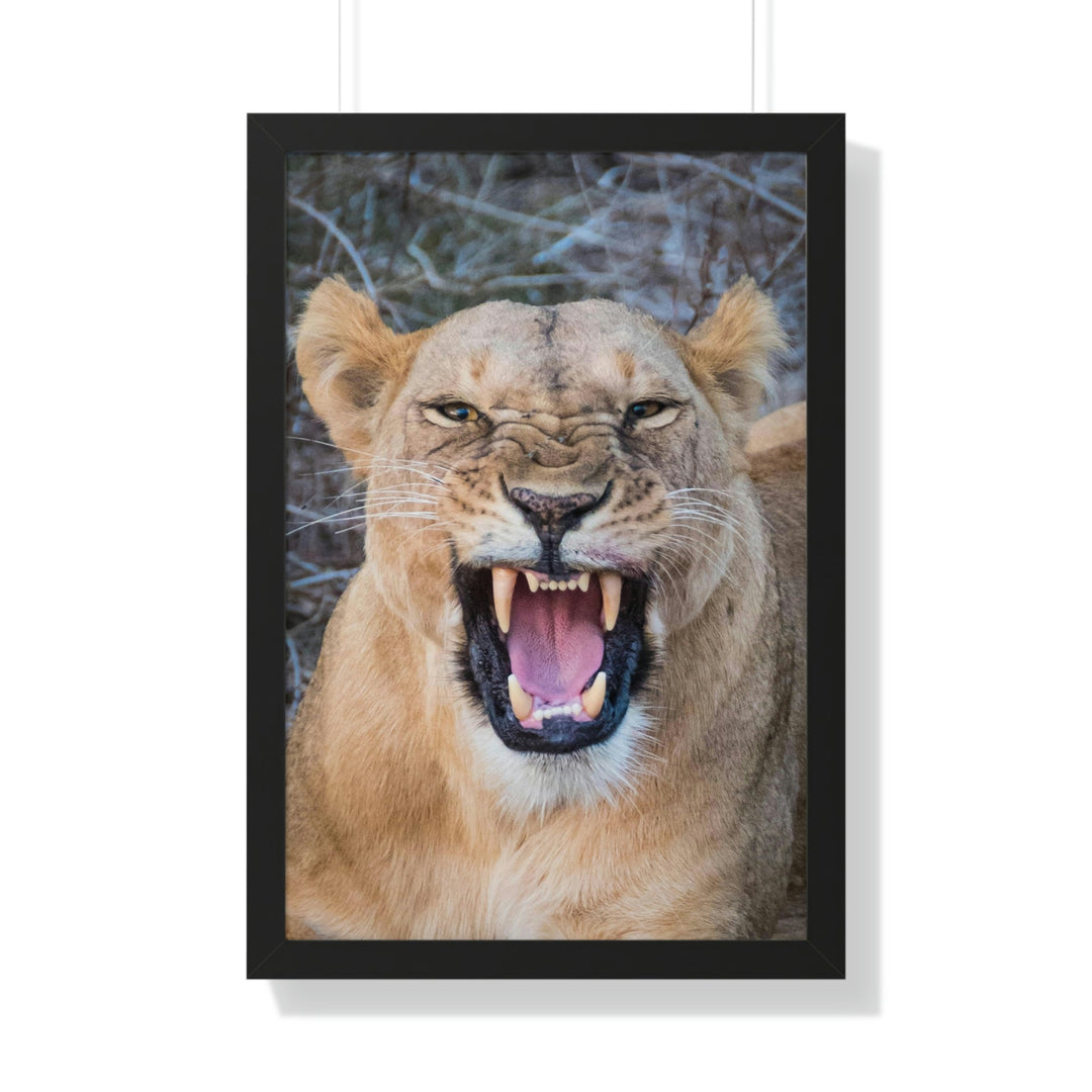 Snarled Smile - Framed Print - Visiting This World