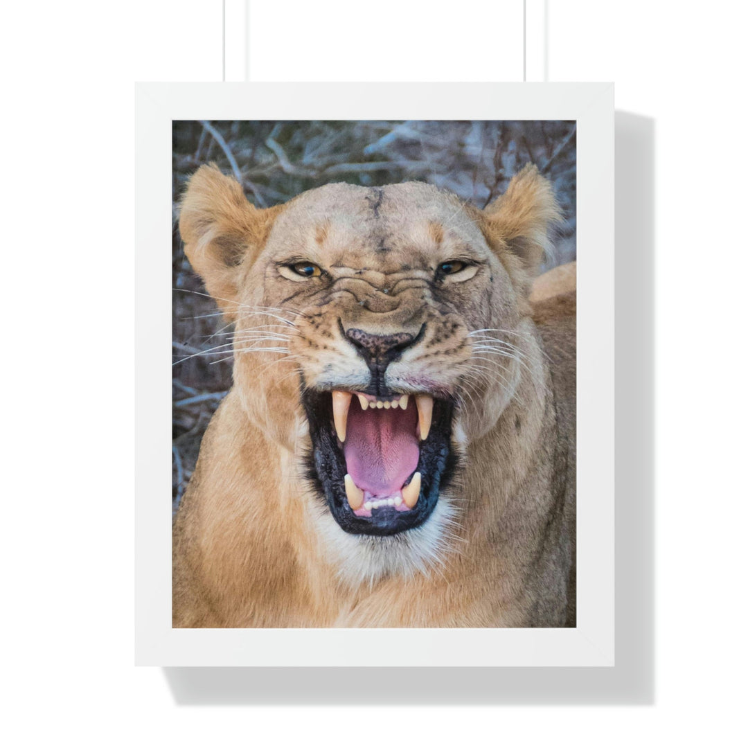 Snarled Smile - Framed Print - Visiting This World