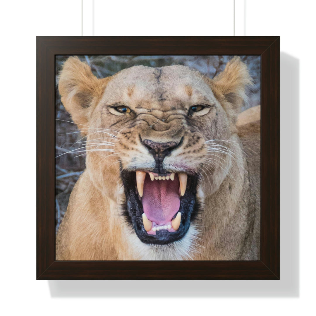 Snarled Smile - Framed Print - Visiting This World