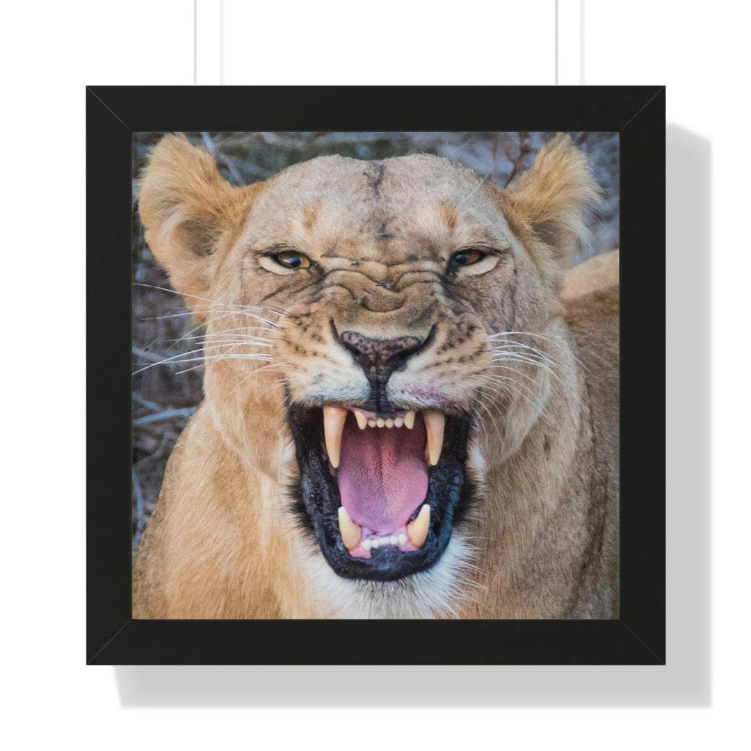 Snarled Smile - Framed Print - Visiting This World