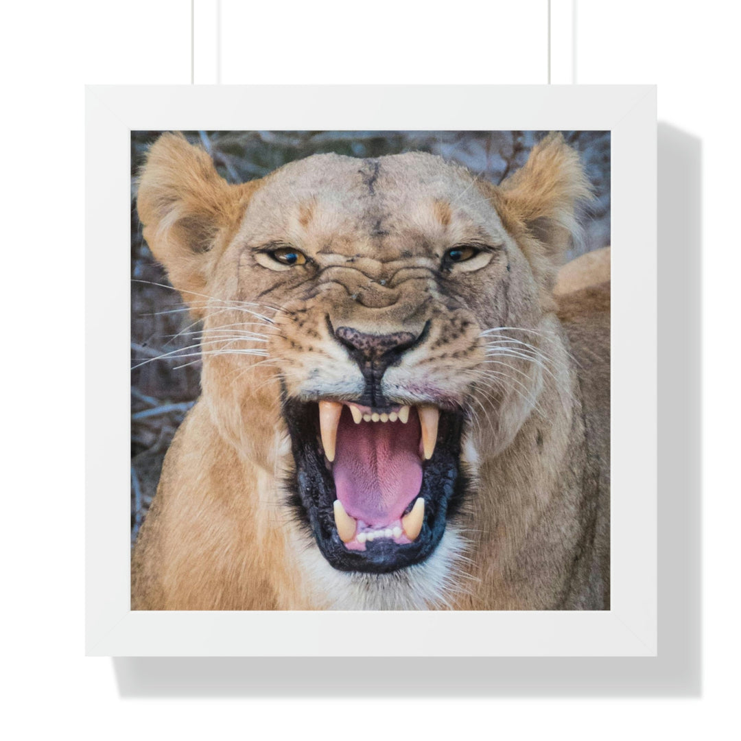 Snarled Smile - Framed Print - Visiting This World