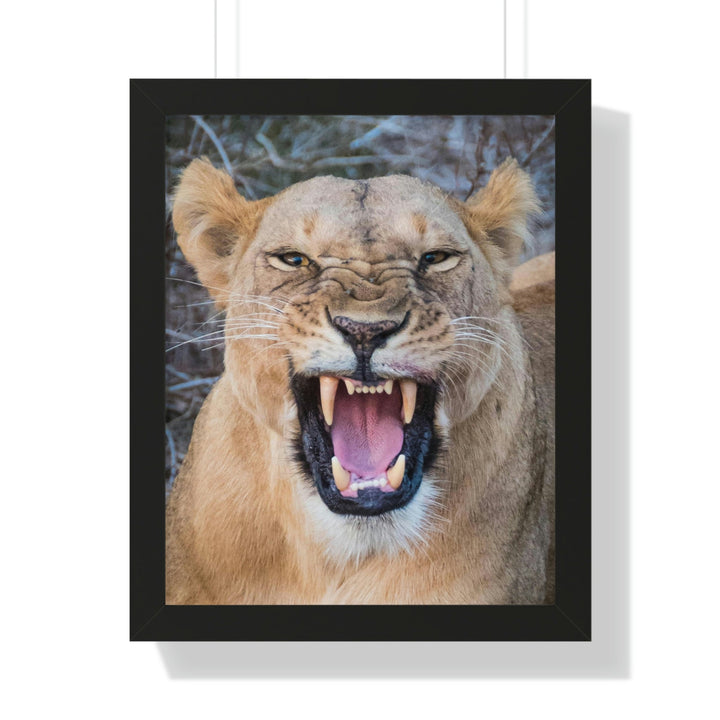 Snarled Smile - Framed Print - Visiting This World