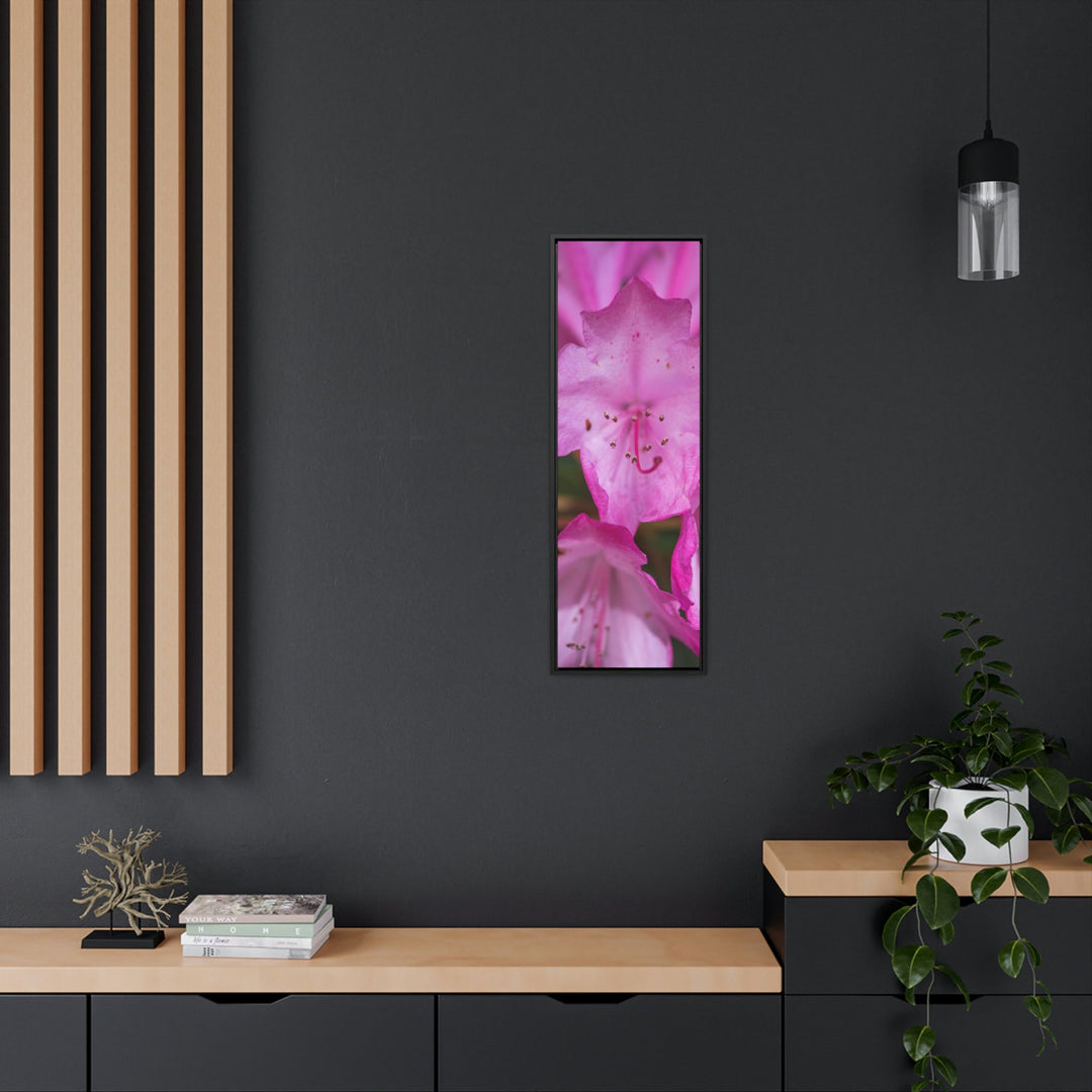 Soft Pinks - Canvas with Frame - Visiting This World